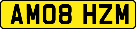 AM08HZM