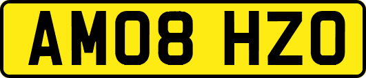AM08HZO