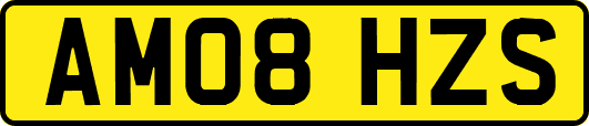 AM08HZS