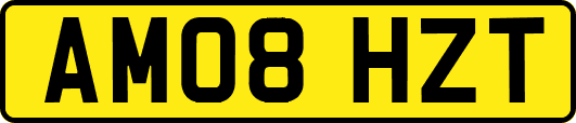 AM08HZT