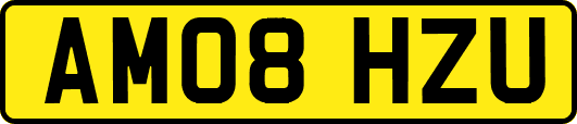 AM08HZU