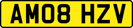 AM08HZV