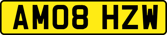 AM08HZW