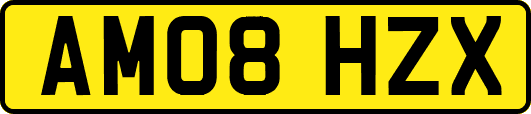 AM08HZX