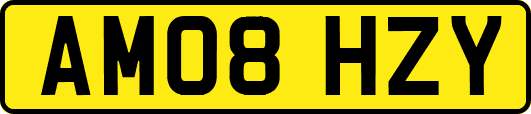 AM08HZY