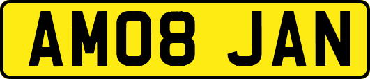 AM08JAN