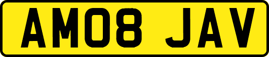 AM08JAV