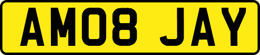 AM08JAY