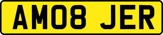 AM08JER