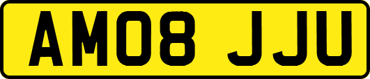 AM08JJU