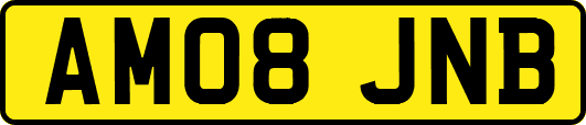 AM08JNB