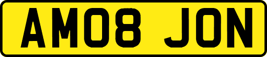 AM08JON