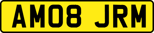 AM08JRM