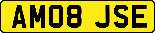 AM08JSE