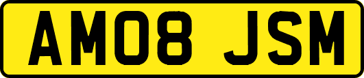 AM08JSM