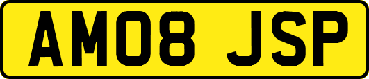 AM08JSP