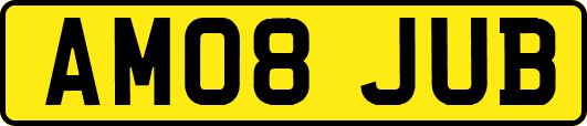 AM08JUB