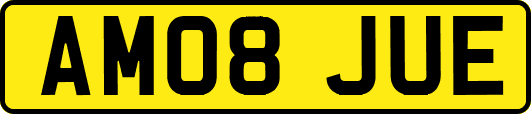 AM08JUE