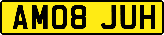AM08JUH