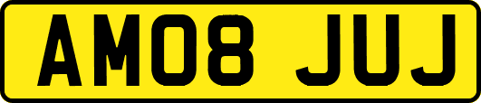 AM08JUJ