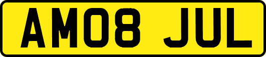 AM08JUL