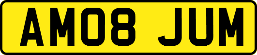 AM08JUM