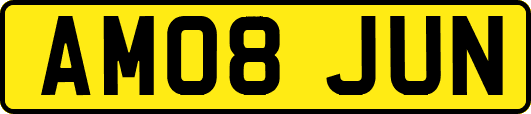 AM08JUN