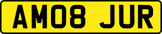 AM08JUR