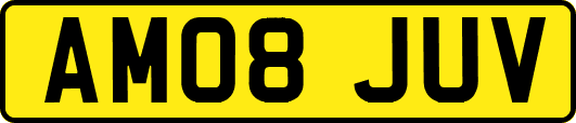 AM08JUV
