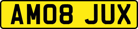AM08JUX