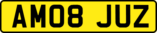 AM08JUZ