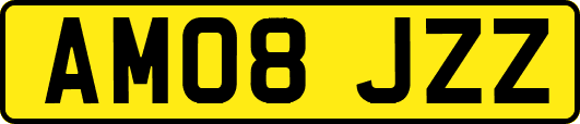 AM08JZZ