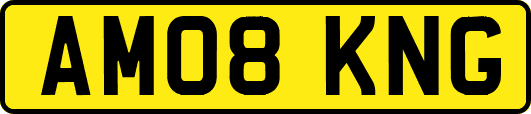 AM08KNG