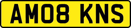 AM08KNS