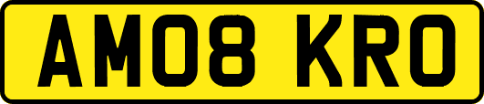 AM08KRO