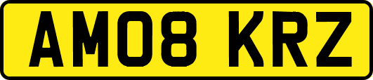 AM08KRZ