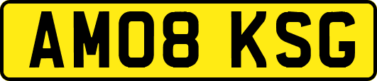 AM08KSG