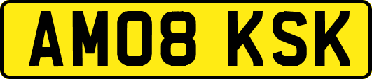AM08KSK