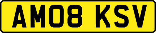 AM08KSV