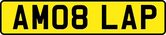 AM08LAP