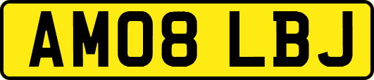 AM08LBJ