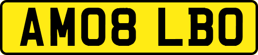 AM08LBO