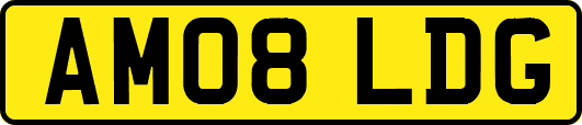 AM08LDG