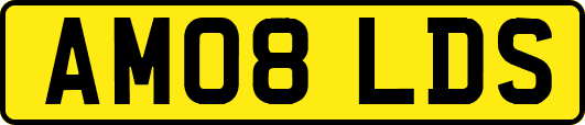 AM08LDS
