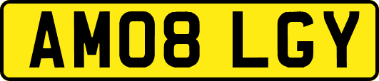 AM08LGY