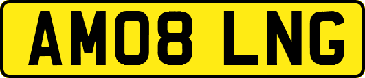 AM08LNG