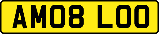 AM08LOO