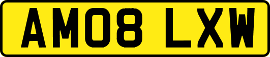 AM08LXW
