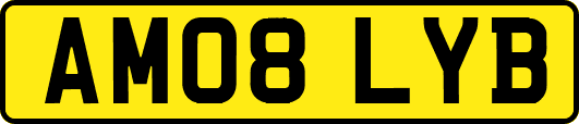 AM08LYB
