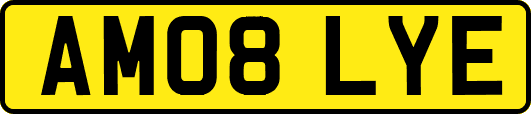 AM08LYE